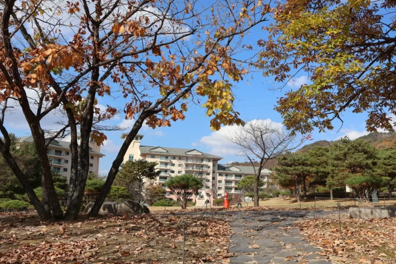 オークバレー:江原道 (14/20)
