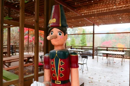 Pinocchio Forest江原道