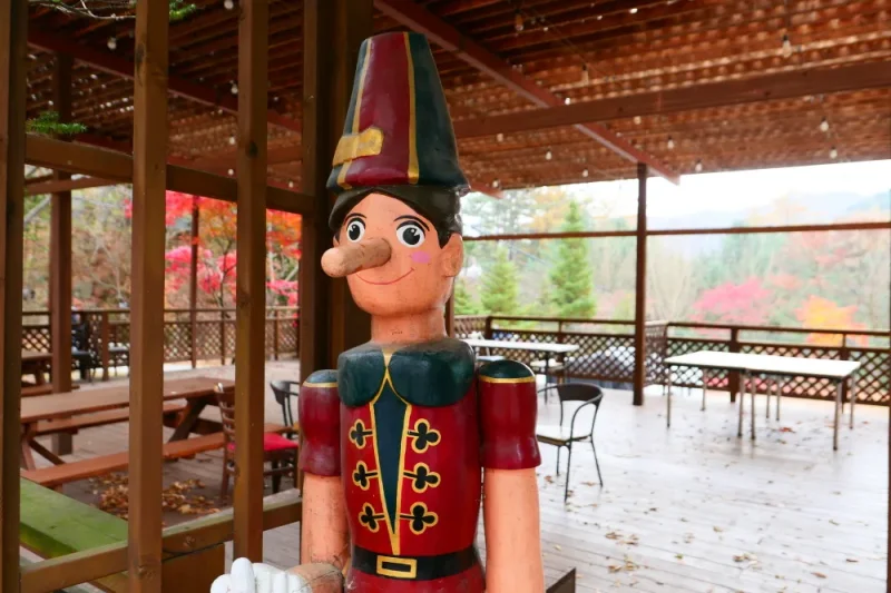 Pinocchio Forest江原道 (1/23)
