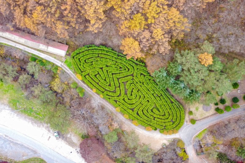 Pinocchio Forest江原道 (3/23)