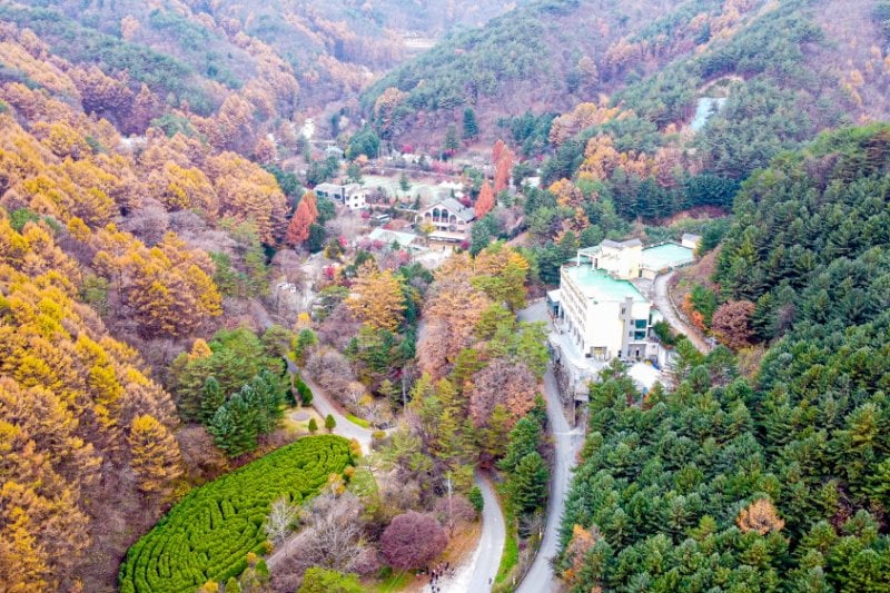 Pinocchio Forest江原道 (4/23)