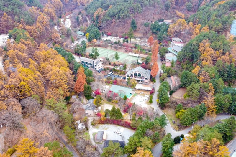 Pinocchio Forest江原道 (7/23)