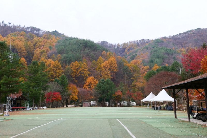 Pinocchio Forest江原道 (9/23)