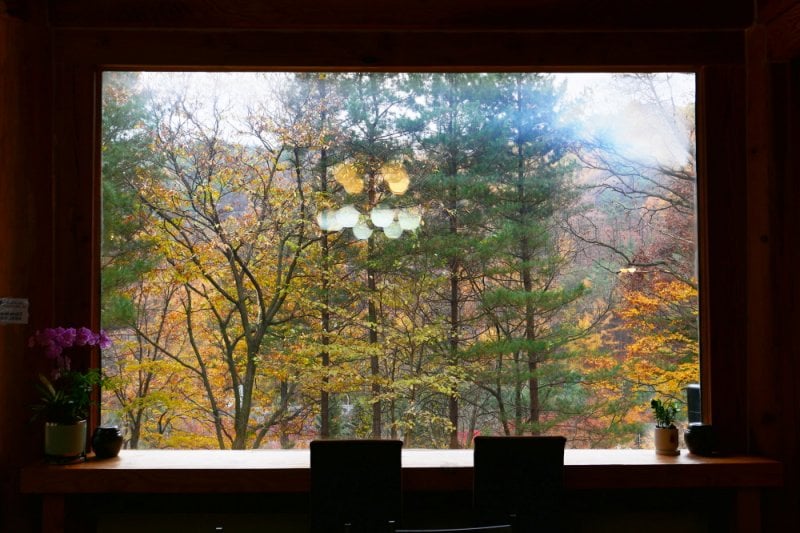 Pinocchio Forest江原道 (13/23)