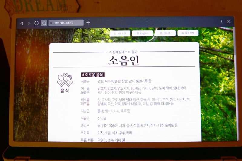 Pinocchio Forest江原道 (14/23)