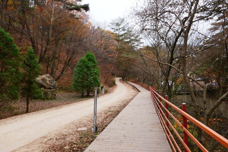 Pinocchio Forest江原道 (21/23)