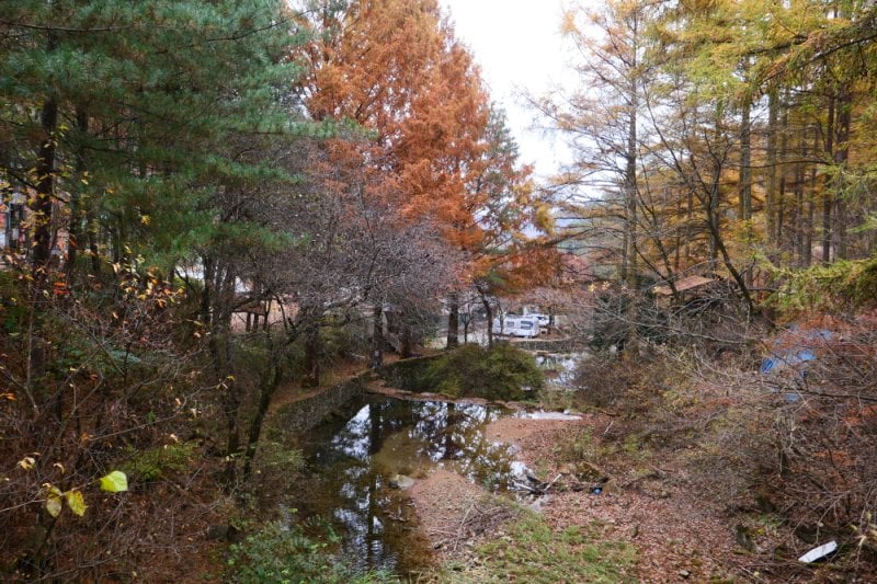 Pinocchio Forest江原道 (22/23)
