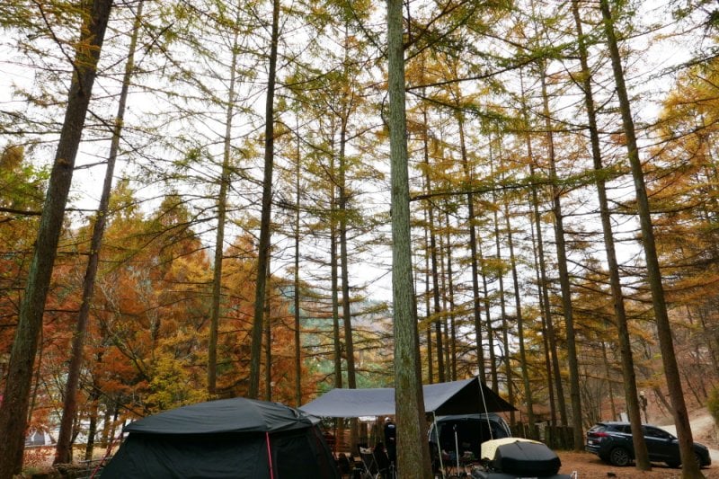 Pinocchio Forest江原道 (23/23)