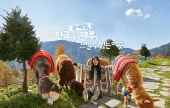 アルパカワールドチケット – 韓国で人気の多種動物パーク＆パフォーマンス