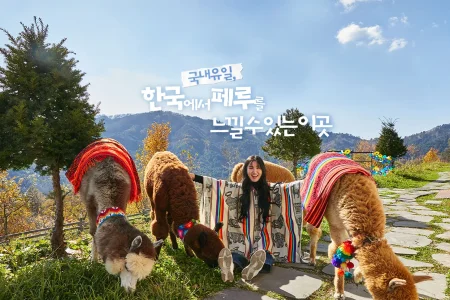 アルパカワールドチケット – 韓国で人気の多種動物パーク＆パフォーマンス