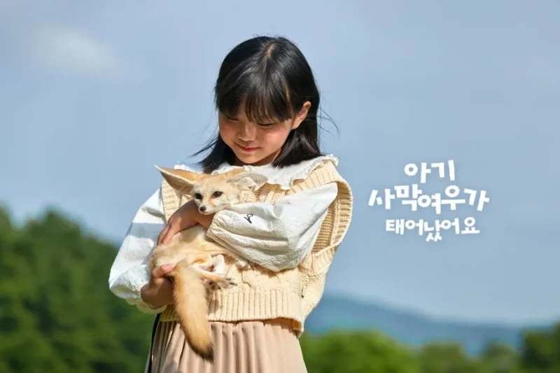 アルパカワールドチケット – 韓国で人気の多種動物パーク＆パフォーマンス