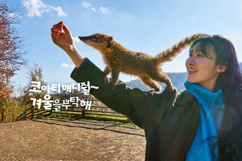 アルパカワールドチケット – 韓国で人気の多種動物パーク＆パフォーマンス