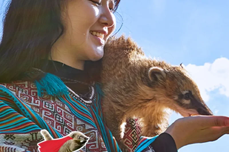 アルパカワールドチケット – 韓国で人気の多種動物パーク＆パフォーマンス