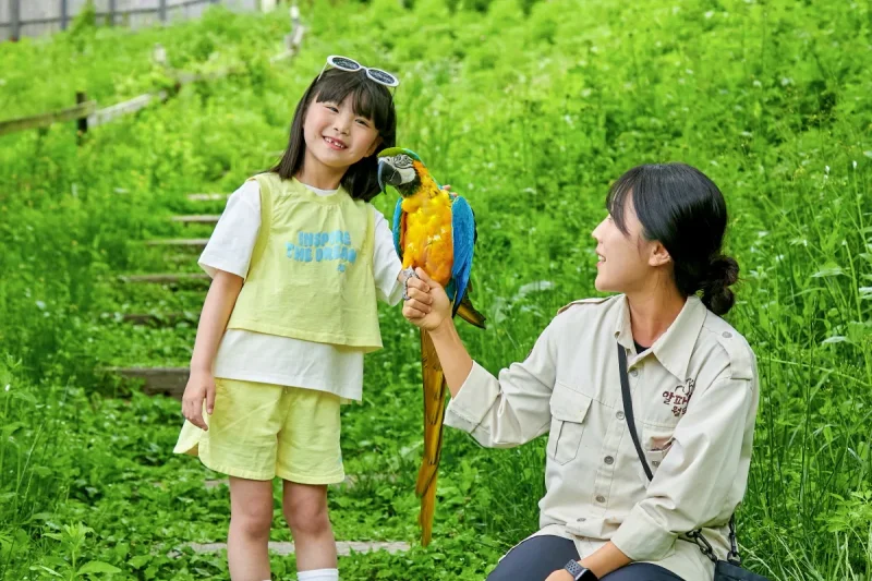 アルパカワールドチケット – 韓国で人気の多種動物パーク＆パフォーマンス