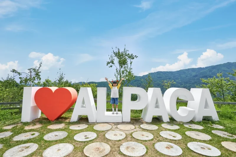 アルパカワールドチケット – 韓国で人気の多種動物パーク＆パフォーマンス
