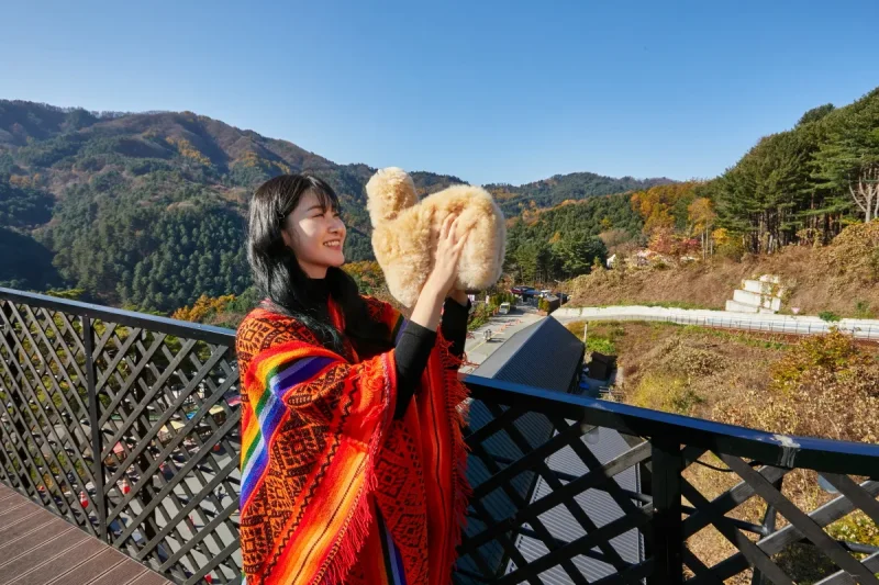 アルパカワールドチケット – 韓国で人気の多種動物パーク＆パフォーマンス