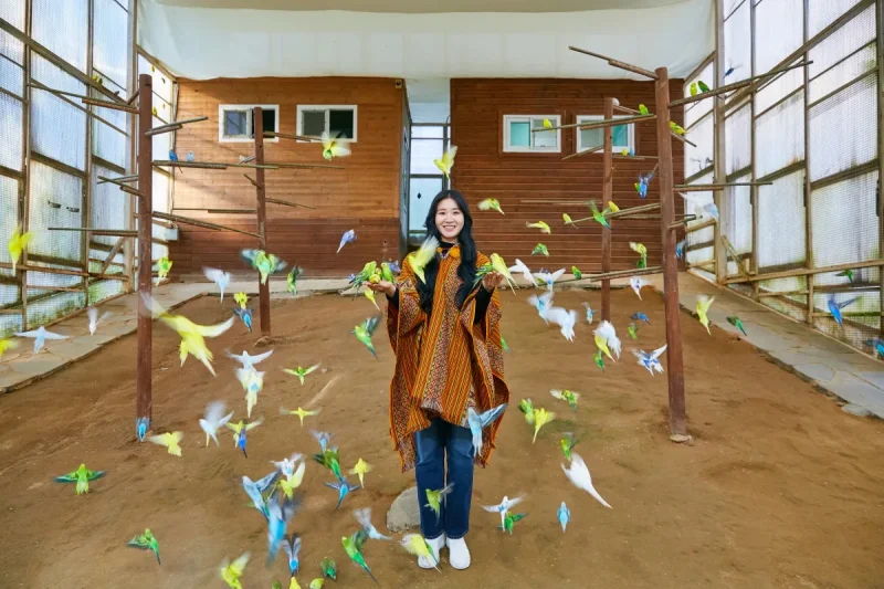 アルパカワールドチケット – 韓国で人気の多種動物パーク＆パフォーマンス