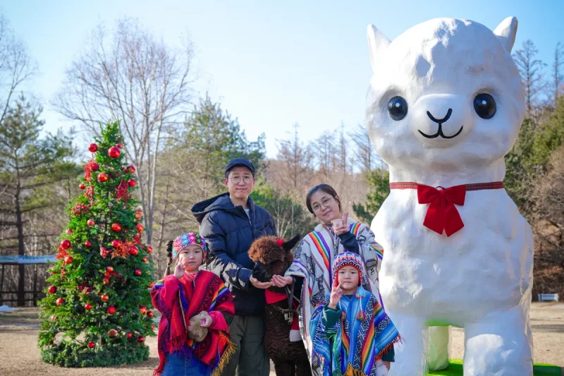 アルパカワールドチケット – 韓国で人気の多種動物パーク＆パフォーマンス