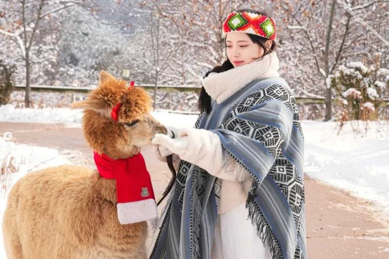アルパカワールドチケット – 韓国で人気の多種動物パーク＆パフォーマンス