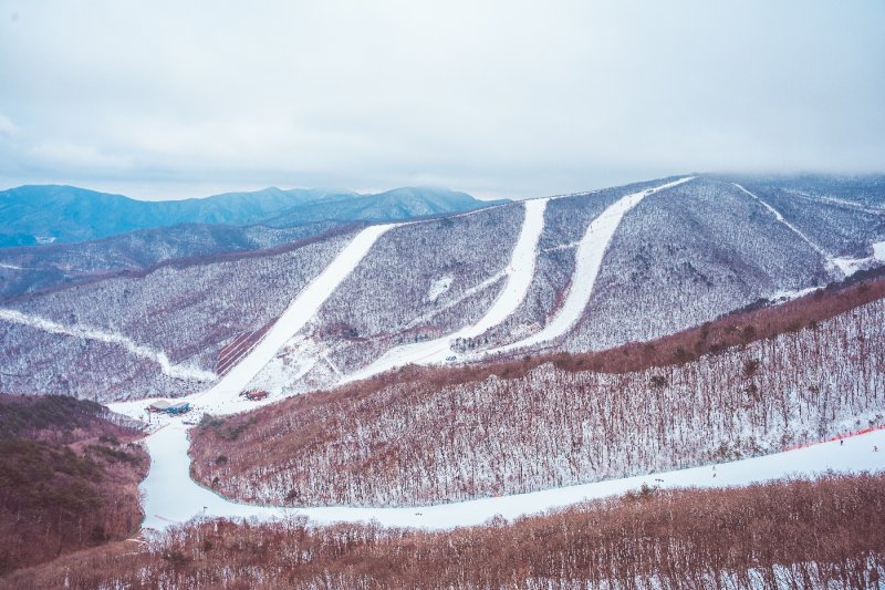 ハイワン・スキーリゾート（High1 Ski Resort） (3/23)