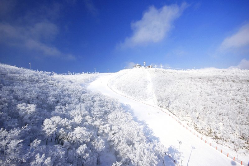 ハイワン・スキーリゾート（High1 Ski Resort） (5/23)