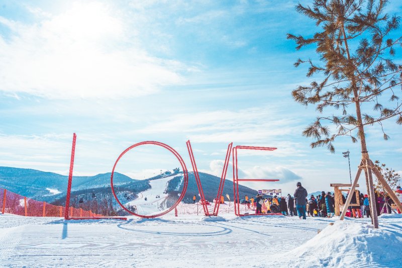 ハイワン・スキーリゾート（High1 Ski Resort） (8/23)