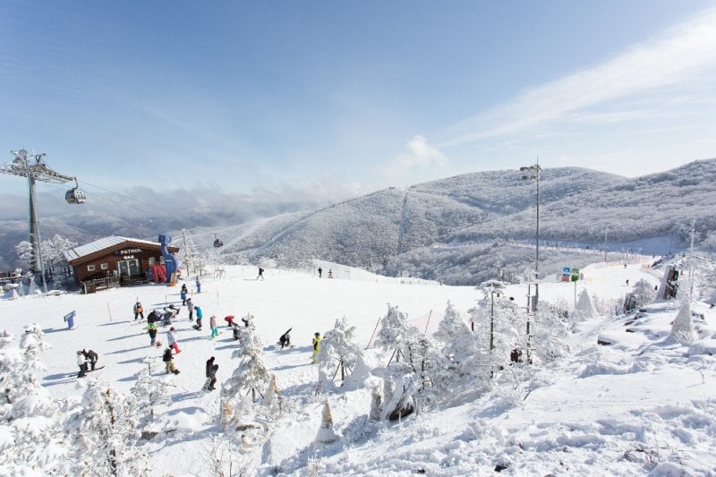 ハイワン・スキーリゾート（High1 Ski Resort） (10/23)