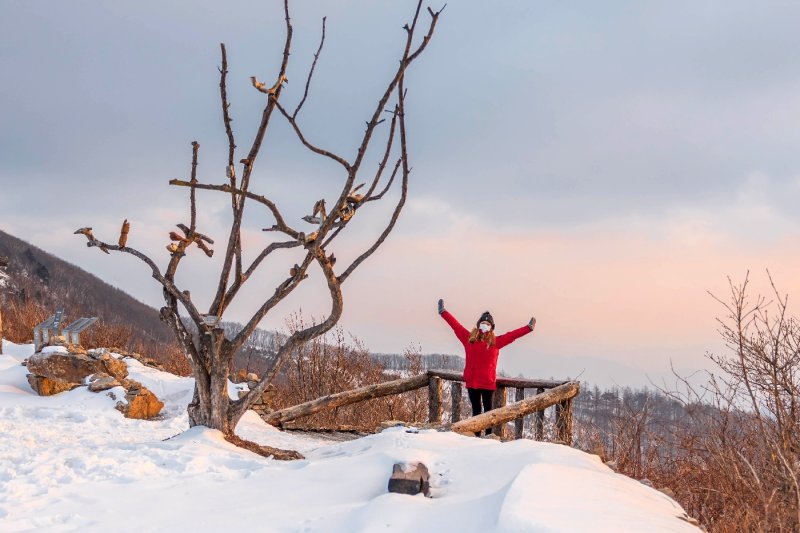 ハイワン・スキーリゾート（High1 Ski Resort） (13/23)
