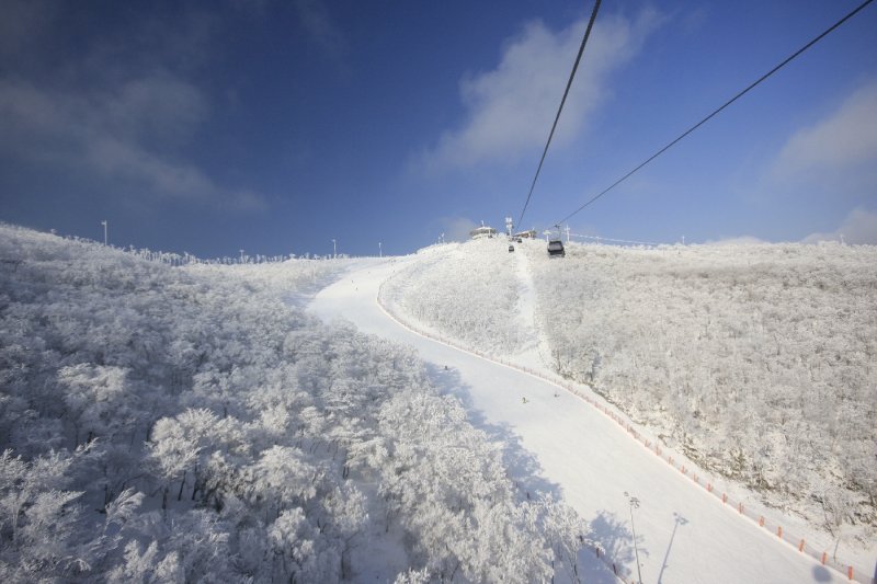 ハイワン・スキーリゾート（High1 Ski Resort） (19/23)