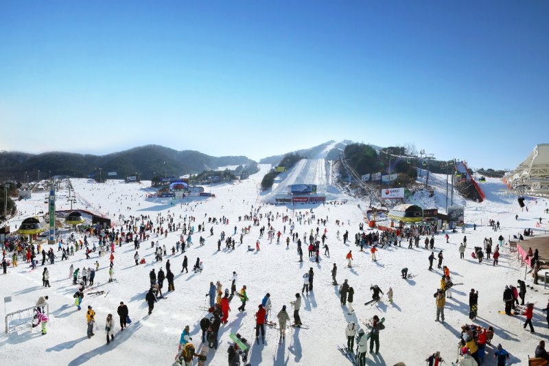 ウェリヒリパーク スノーパーク（Welli Hilli Park Snow Park） (2/13)