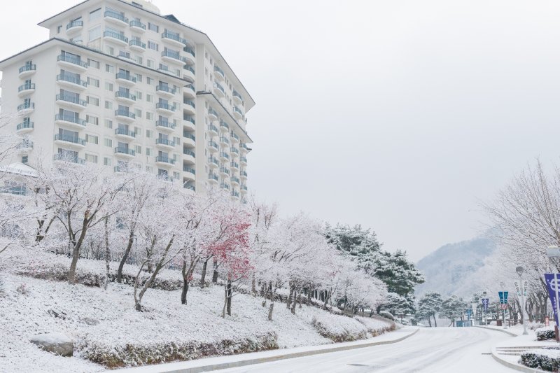 エリシアン江村スキー場 (Elysian Gangchon Ski Resort) (5/25)