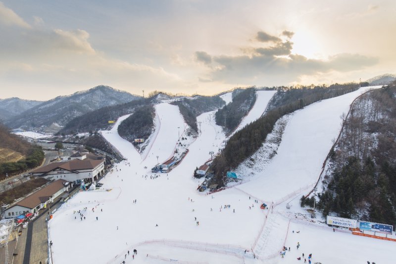 エリシアン江村スキー場 (Elysian Gangchon Ski Resort) (6/25)