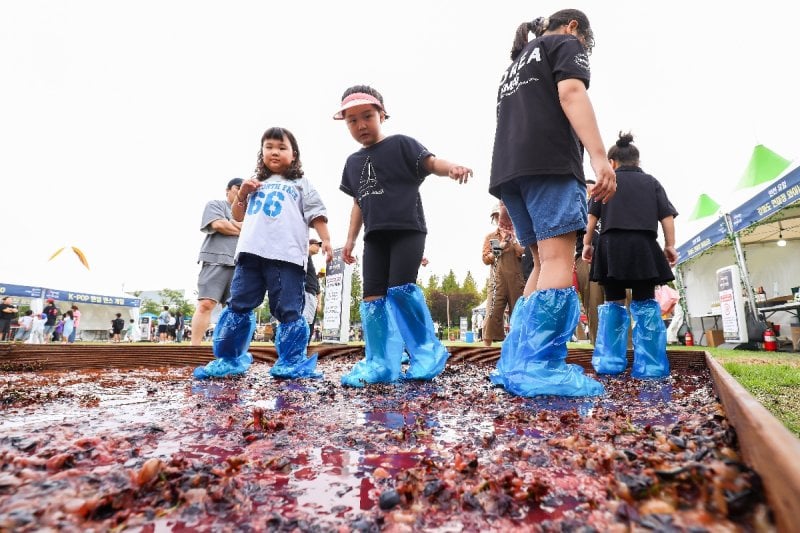 2026 IFEZ グローバルフェスティバル（松島・永宗・青羅） (5/19)